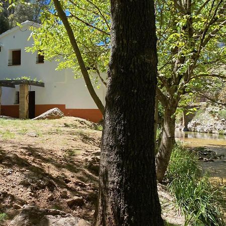 Casa Rural Molino Jaraiz Yeste Dış mekan fotoğraf