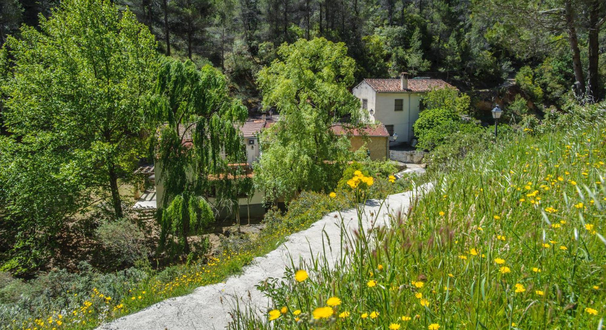 Casa Rural Molino Jaraiz Yeste Dış mekan fotoğraf