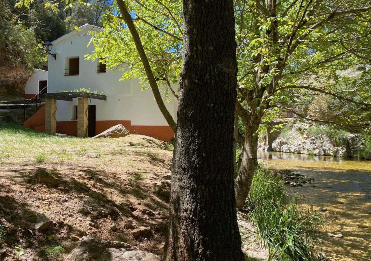 Casa Rural Molino Jaraiz Yeste Dış mekan fotoğraf